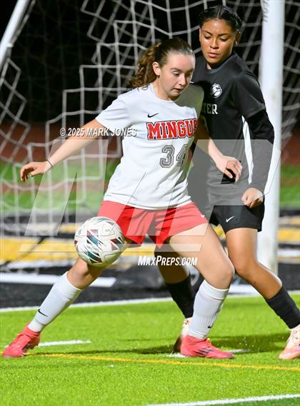 Thumbnail 1 in Mingus @ Goldwater photogallery.