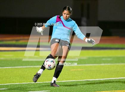 Thumbnail 1 in Mingus @ Goldwater photogallery.