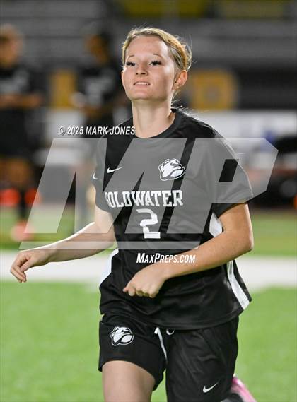 Thumbnail 1 in Mingus @ Goldwater photogallery.