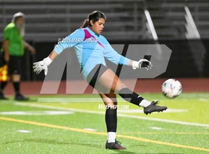 Thumbnail 1 in Mingus @ Goldwater photogallery.