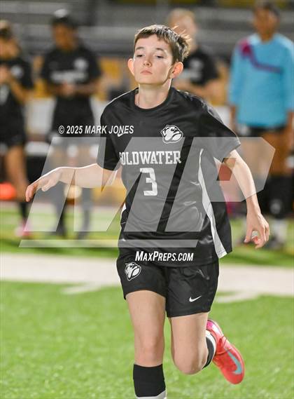 Thumbnail 1 in Mingus @ Goldwater photogallery.