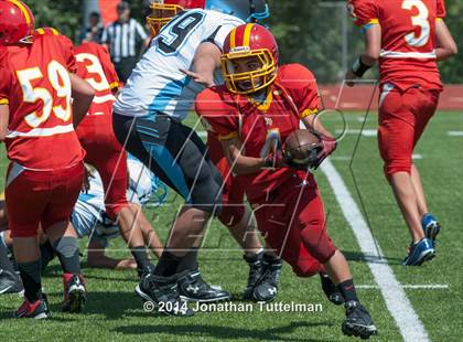 Thumbnail 3 in FR: Northglenn @ Vista Ridge photogallery.