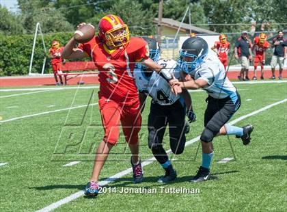 Thumbnail 2 in FR: Northglenn @ Vista Ridge photogallery.