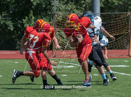 Thumbnail 2 in FR: Northglenn @ Vista Ridge photogallery.