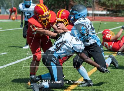 Thumbnail 2 in FR: Northglenn @ Vista Ridge photogallery.