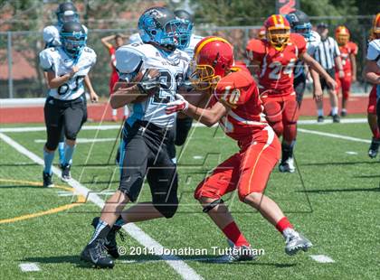 Thumbnail 2 in FR: Northglenn @ Vista Ridge photogallery.