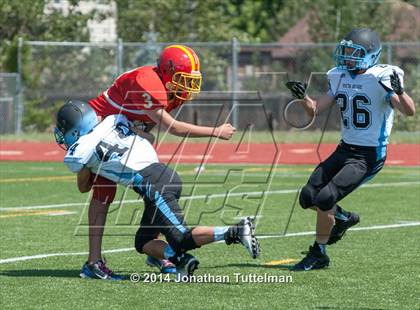 Thumbnail 2 in FR: Northglenn @ Vista Ridge photogallery.