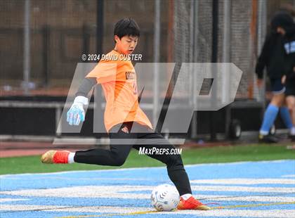 Thumbnail 2 in Oakton @ Yorktown photogallery.