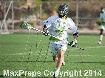 Thumbnail 1 in Palo Verde vs Palo Verde V2 photogallery.