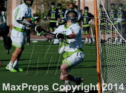Thumbnail 2 in Palo Verde vs Palo Verde V2 photogallery.