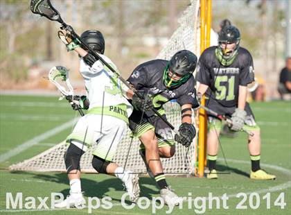 Thumbnail 2 in Palo Verde vs Palo Verde V2 photogallery.