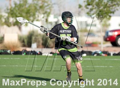 Thumbnail 1 in Palo Verde vs Palo Verde V2 photogallery.