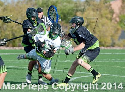 Thumbnail 1 in Palo Verde vs Palo Verde V2 photogallery.