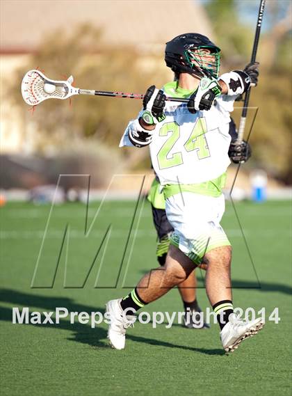 Thumbnail 3 in Palo Verde vs Palo Verde V2 photogallery.