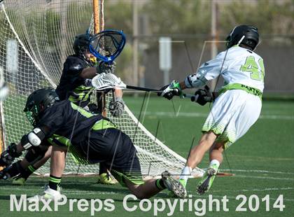 Thumbnail 2 in Palo Verde vs Palo Verde V2 photogallery.