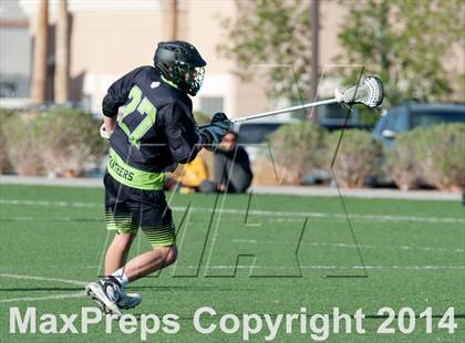 Thumbnail 1 in Palo Verde vs Palo Verde V2 photogallery.