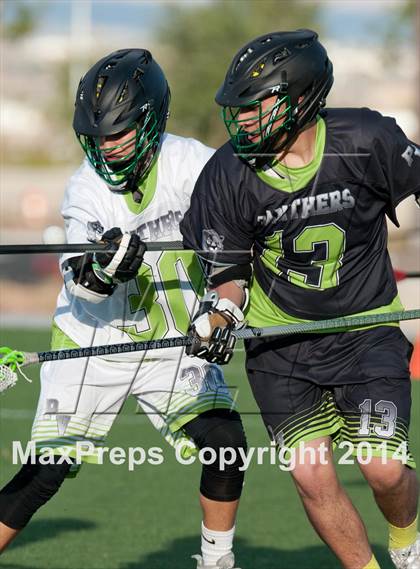 Thumbnail 1 in Palo Verde vs Palo Verde V2 photogallery.