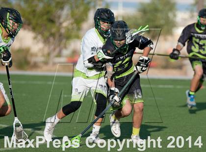 Thumbnail 3 in Palo Verde vs Palo Verde V2 photogallery.