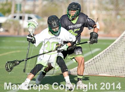 Thumbnail 1 in Palo Verde vs Palo Verde V2 photogallery.