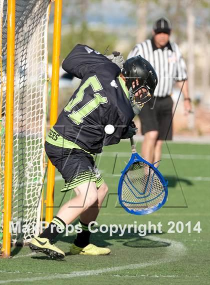 Thumbnail 2 in Palo Verde vs Palo Verde V2 photogallery.