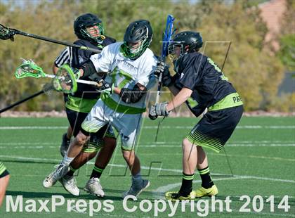 Thumbnail 2 in Palo Verde vs Palo Verde V2 photogallery.