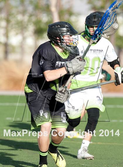 Thumbnail 3 in Palo Verde vs Palo Verde V2 photogallery.