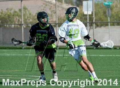 Thumbnail 2 in Palo Verde vs Palo Verde V2 photogallery.