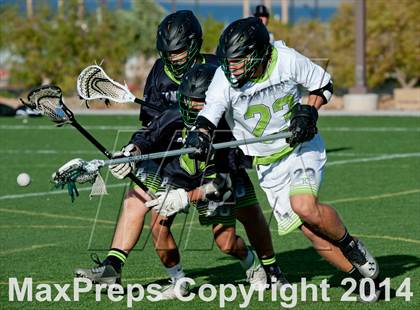 Thumbnail 3 in Palo Verde vs Palo Verde V2 photogallery.