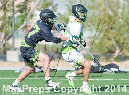 Thumbnail 2 in Palo Verde vs Palo Verde V2 photogallery.