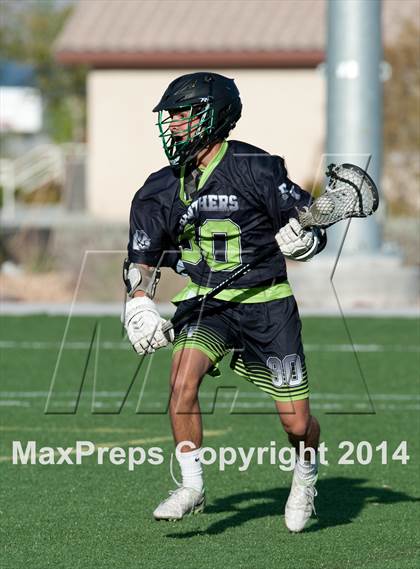 Thumbnail 2 in Palo Verde vs Palo Verde V2 photogallery.