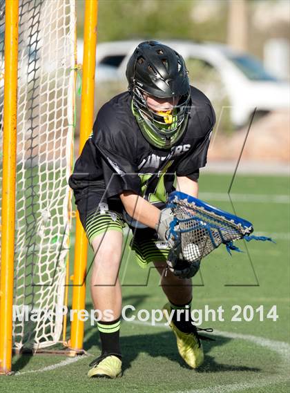 Thumbnail 3 in Palo Verde vs Palo Verde V2 photogallery.