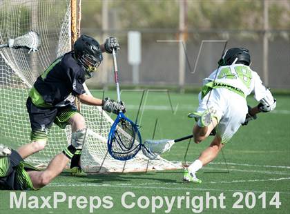 Thumbnail 3 in Palo Verde vs Palo Verde V2 photogallery.