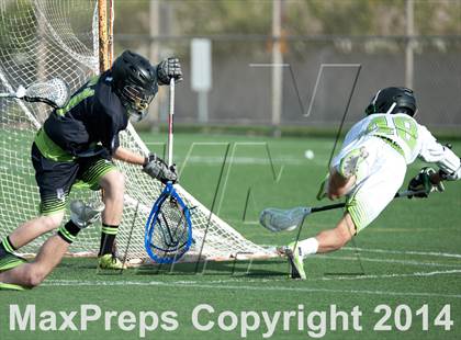 Thumbnail 1 in Palo Verde vs Palo Verde V2 photogallery.