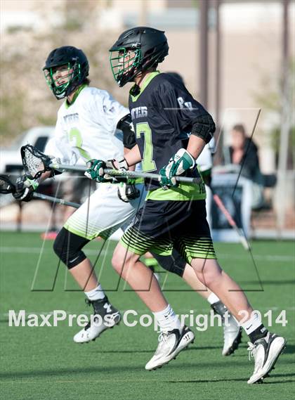 Thumbnail 3 in Palo Verde vs Palo Verde V2 photogallery.