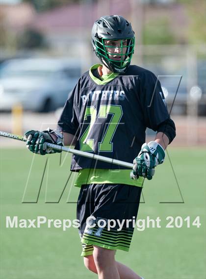 Thumbnail 1 in Palo Verde vs Palo Verde V2 photogallery.