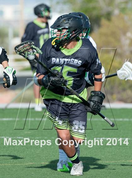 Thumbnail 2 in Palo Verde vs Palo Verde V2 photogallery.