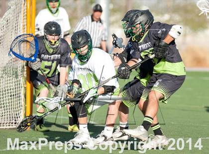 Thumbnail 3 in Palo Verde vs Palo Verde V2 photogallery.