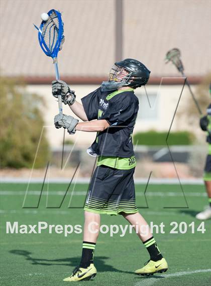Thumbnail 1 in Palo Verde vs Palo Verde V2 photogallery.