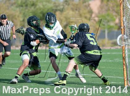 Thumbnail 2 in Palo Verde vs Palo Verde V2 photogallery.