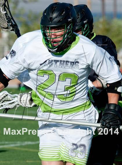 Thumbnail 2 in Palo Verde vs Palo Verde V2 photogallery.