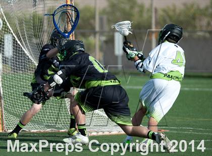 Thumbnail 1 in Palo Verde vs Palo Verde V2 photogallery.
