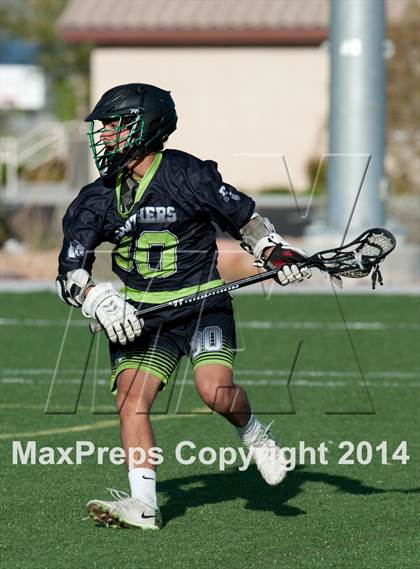 Thumbnail 3 in Palo Verde vs Palo Verde V2 photogallery.
