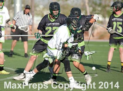 Thumbnail 2 in Palo Verde vs Palo Verde V2 photogallery.