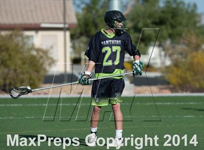 Thumbnail 1 in Palo Verde vs Palo Verde V2 photogallery.