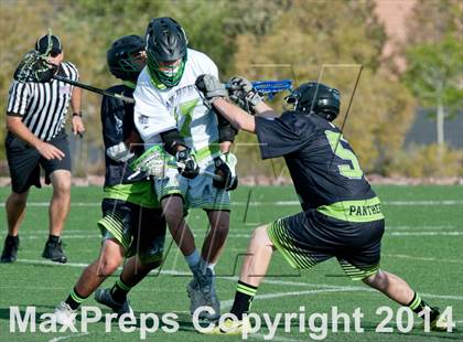 Thumbnail 3 in Palo Verde vs Palo Verde V2 photogallery.