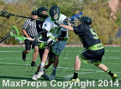 Thumbnail 1 in Palo Verde vs Palo Verde V2 photogallery.