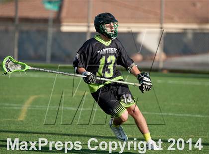 Thumbnail 1 in Palo Verde vs Palo Verde V2 photogallery.