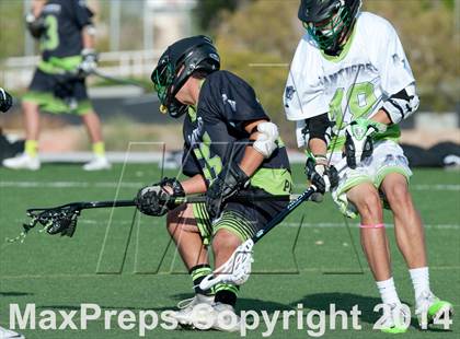 Thumbnail 3 in Palo Verde vs Palo Verde V2 photogallery.