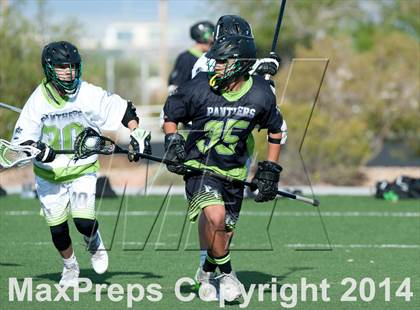Thumbnail 1 in Palo Verde vs Palo Verde V2 photogallery.