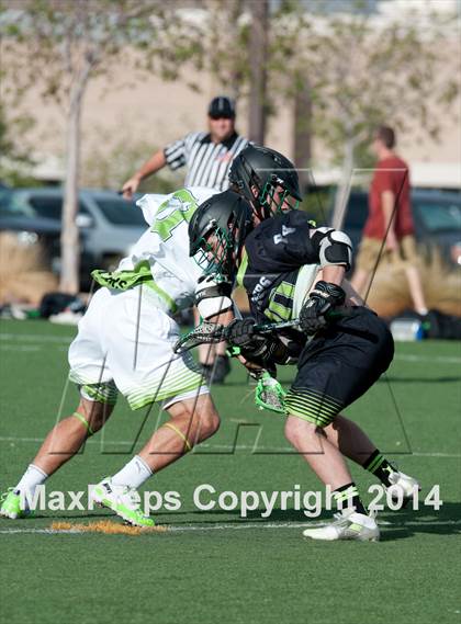 Thumbnail 3 in Palo Verde vs Palo Verde V2 photogallery.